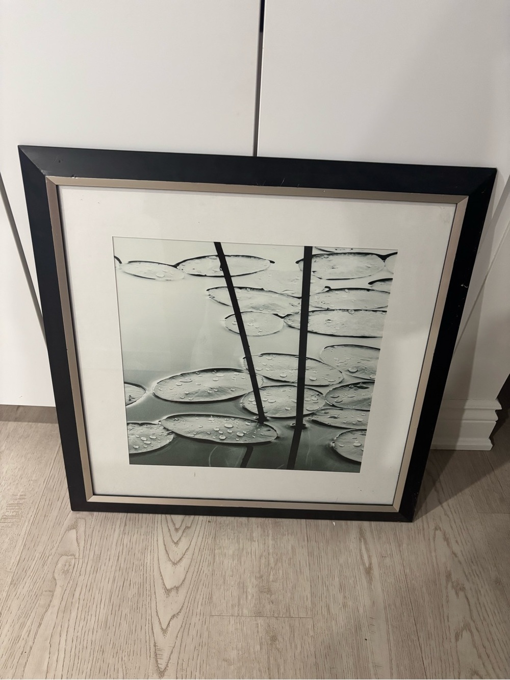 Framed Water Lily Art Print in Black and White